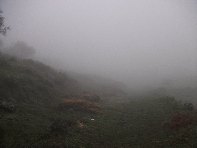 fugio Pirao-20101010 004